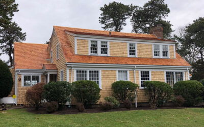 Whole House Renovation